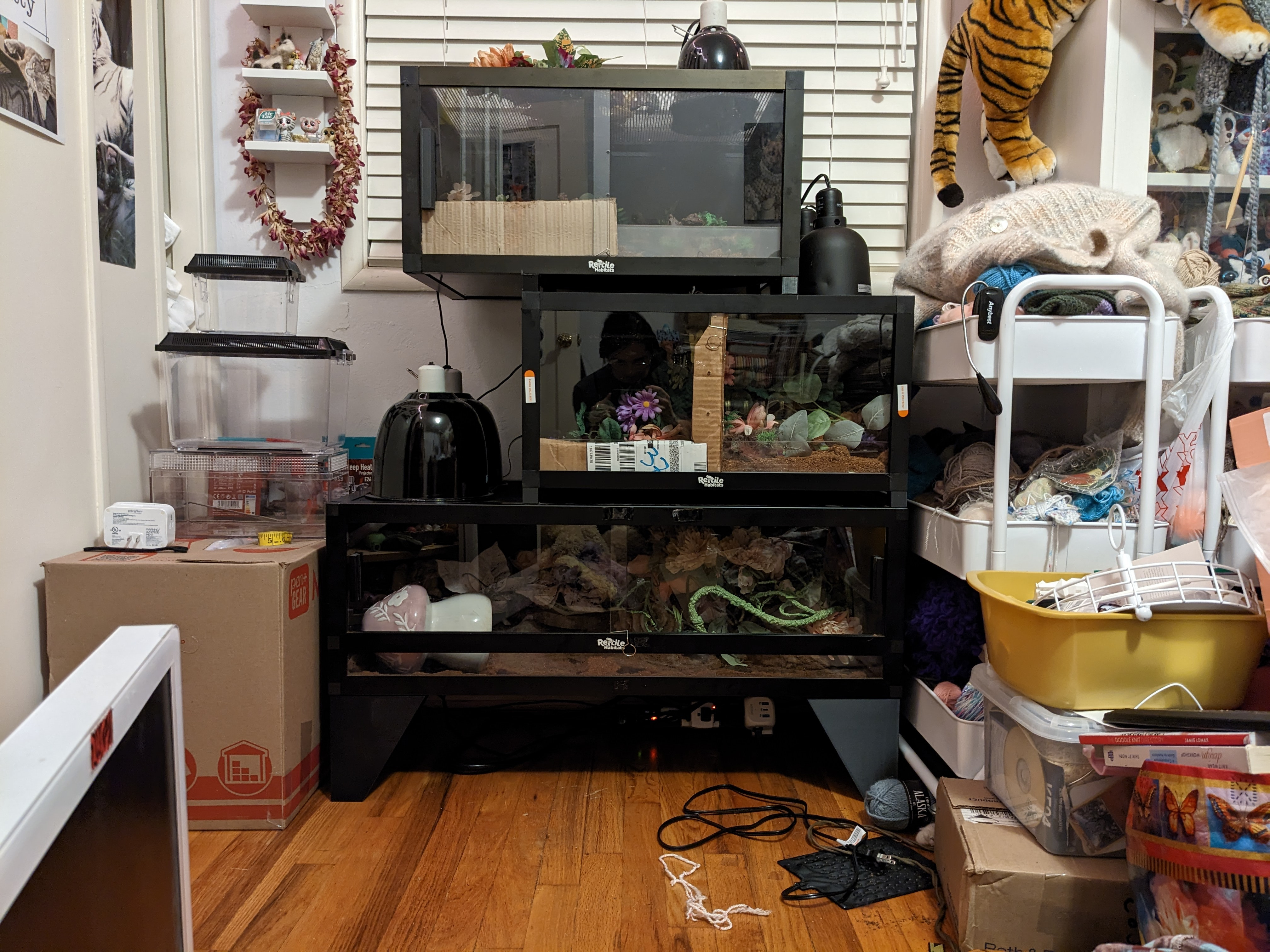 PVC террариум Reptile Habitats Dubia — идеальное жилище для ваших питомцев для 3D принтера