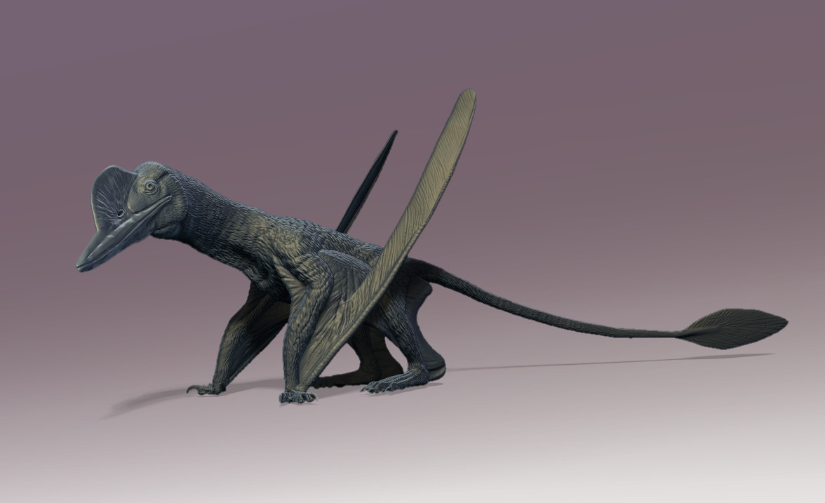 Эксклюзивная фигурка Kungpengopterus — идеальна для коллекционеров и любителей палеонтологии для 3D принтера