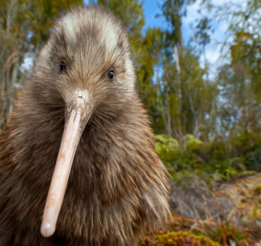 Уникальная 3D-модель gfhhhhhhhhhhhhhhhhhhhhhhhhhhhhhh