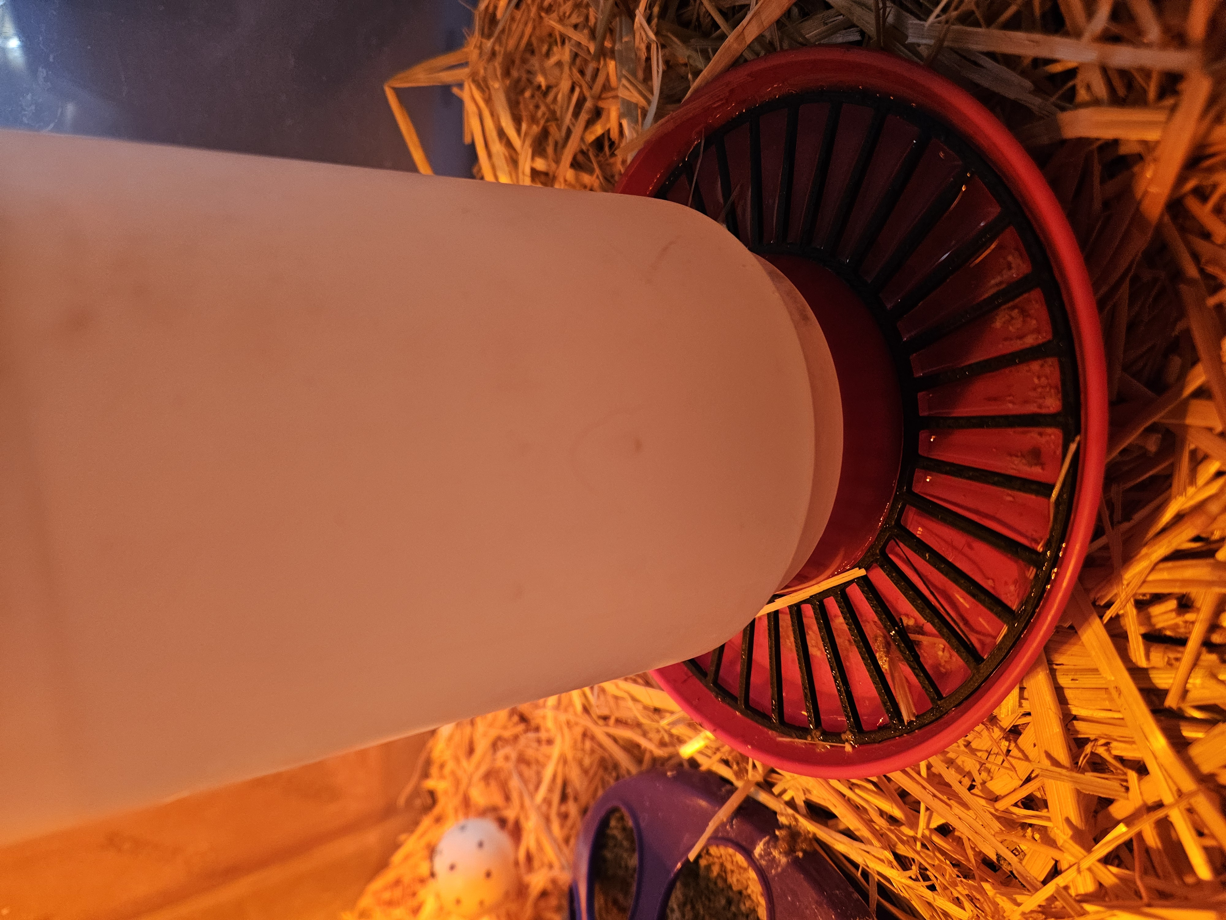 Крышка для курицы CHICKEN WATER COVER — 3D-модель для фермерства для 3D принтера