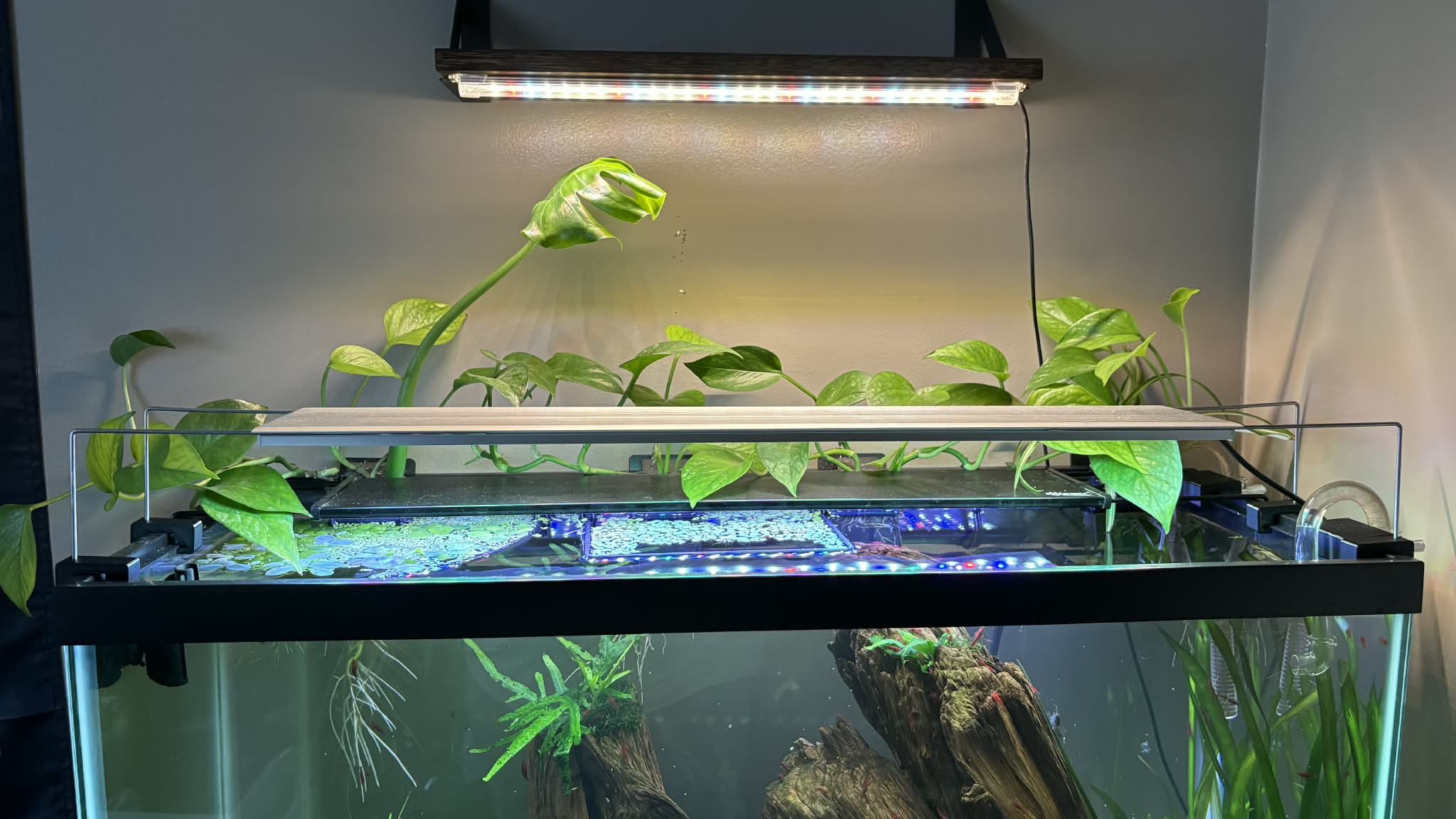 Креативный светильник Chihiro для аквариума ✨ для 3D принтера