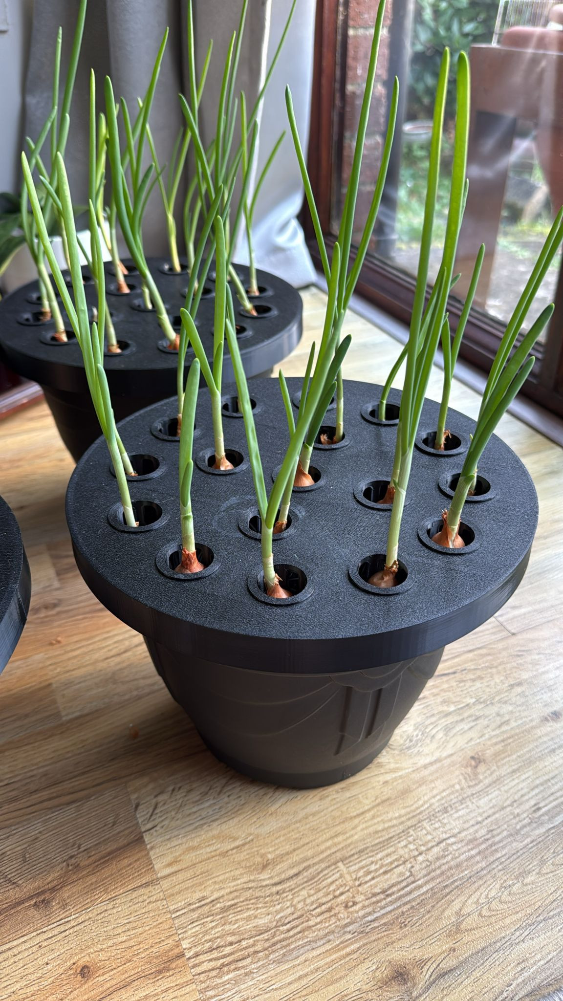 Простое выращивание зелёного лука дома с помощью 3D-печатной подставки для 3D принтера