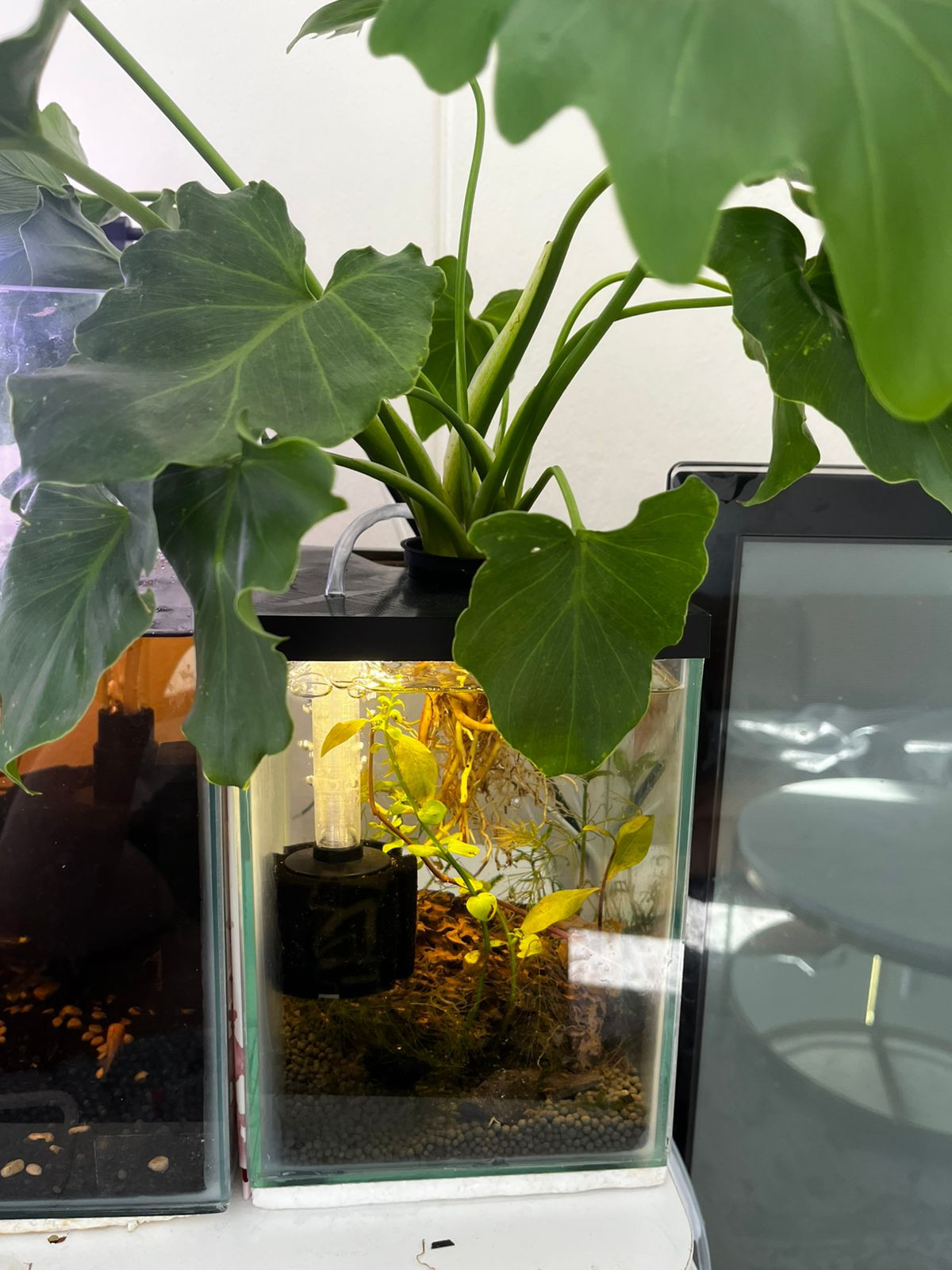 15x16cm Nano Aquarium Lid + Suspended Sponge filter (Shrimp / Fish tank) + Plant Holder для 3D принтера