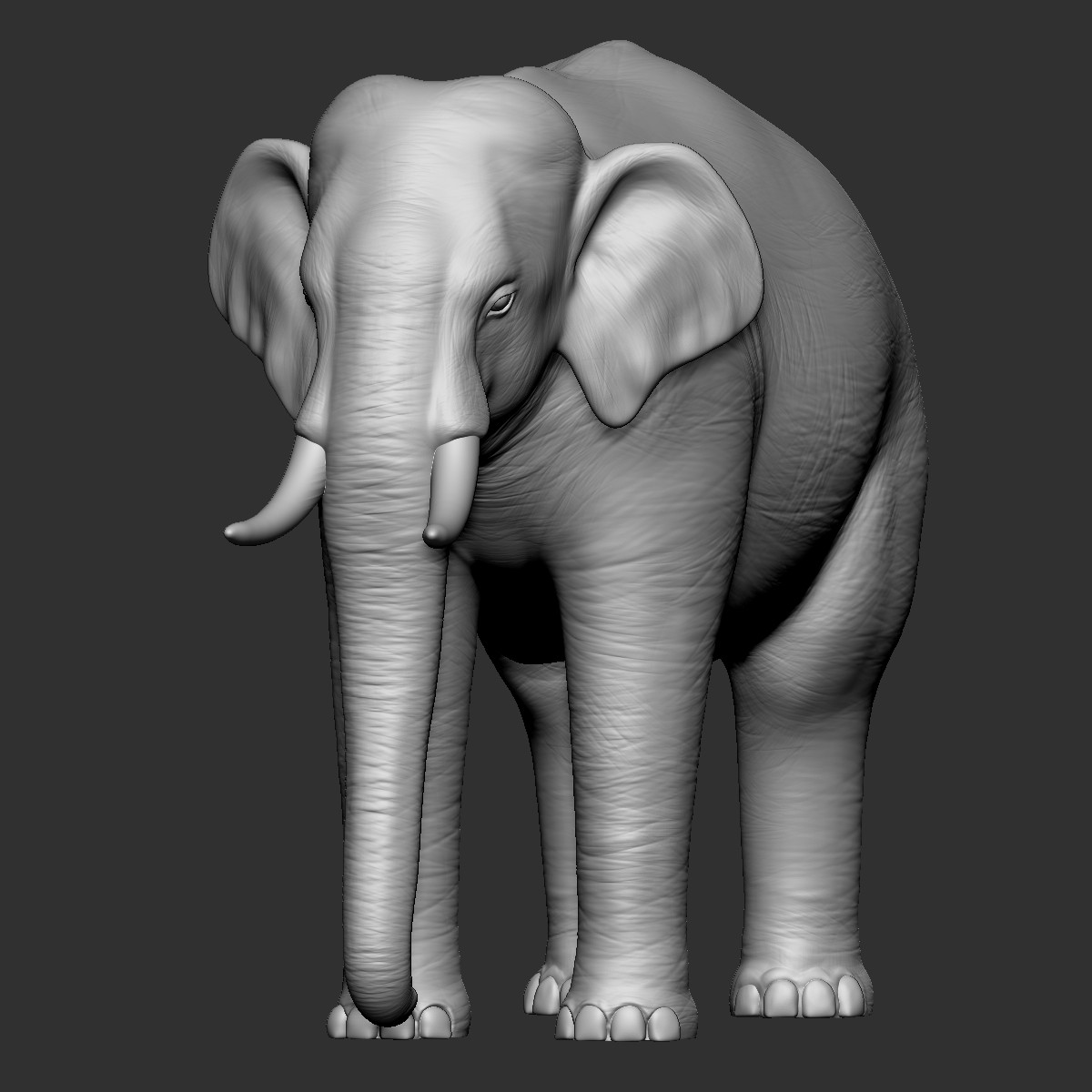 Реалистичная 3D-модель слона 🐘 для 3D принтера