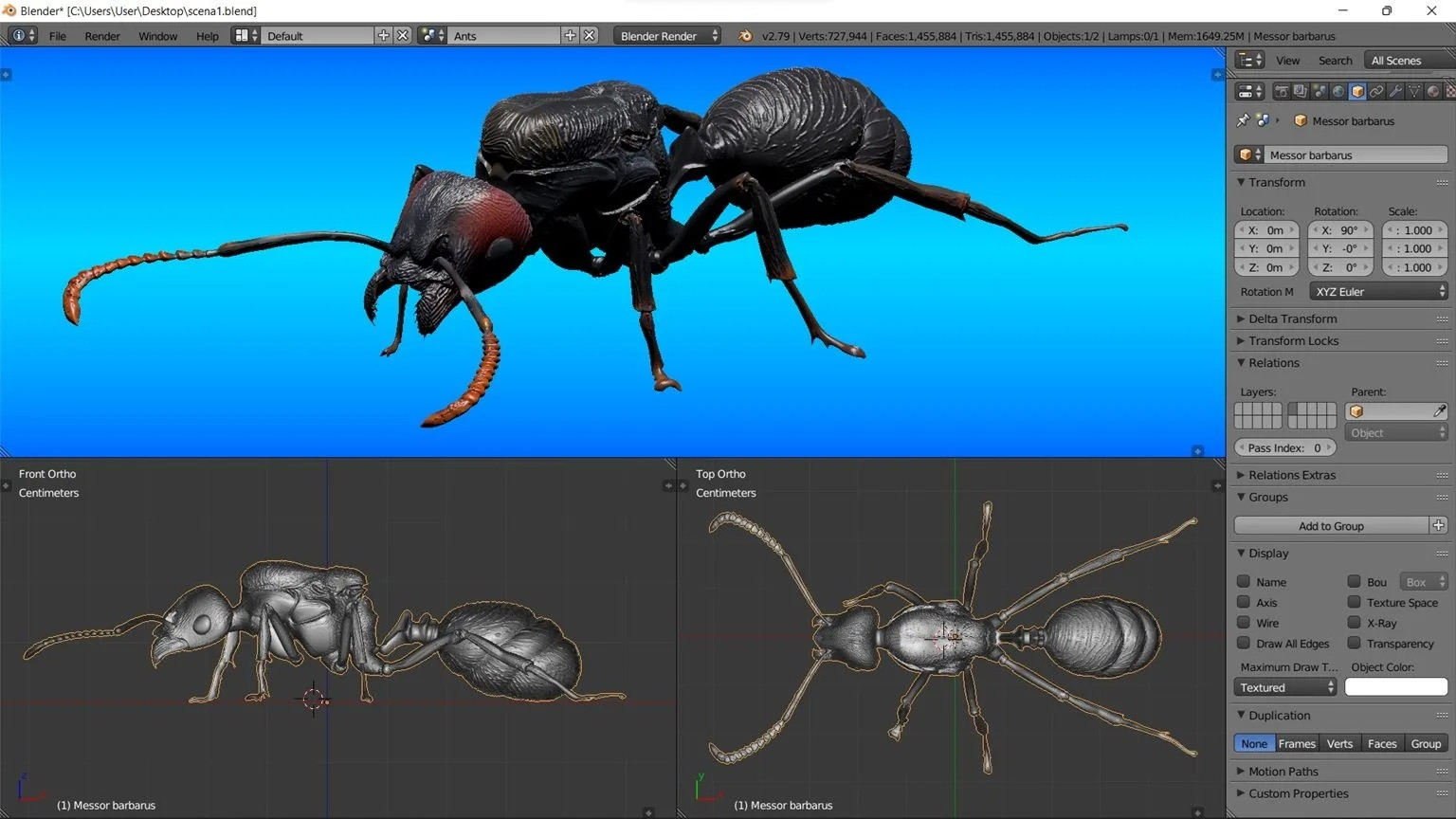 Messor barbarus для 3D принтера