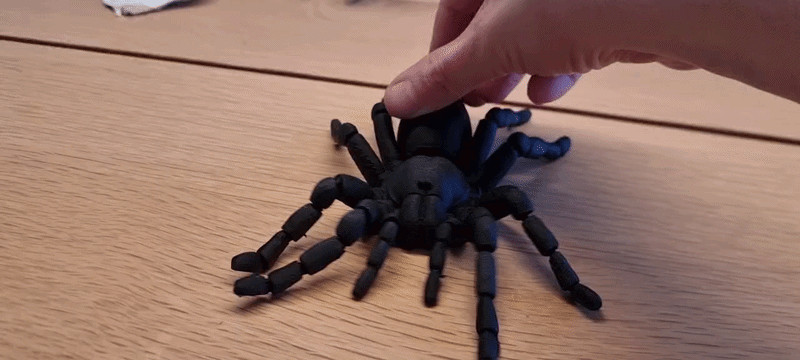 Реалистичная 3D-модель подвижного паука-птицееда для 3D принтера