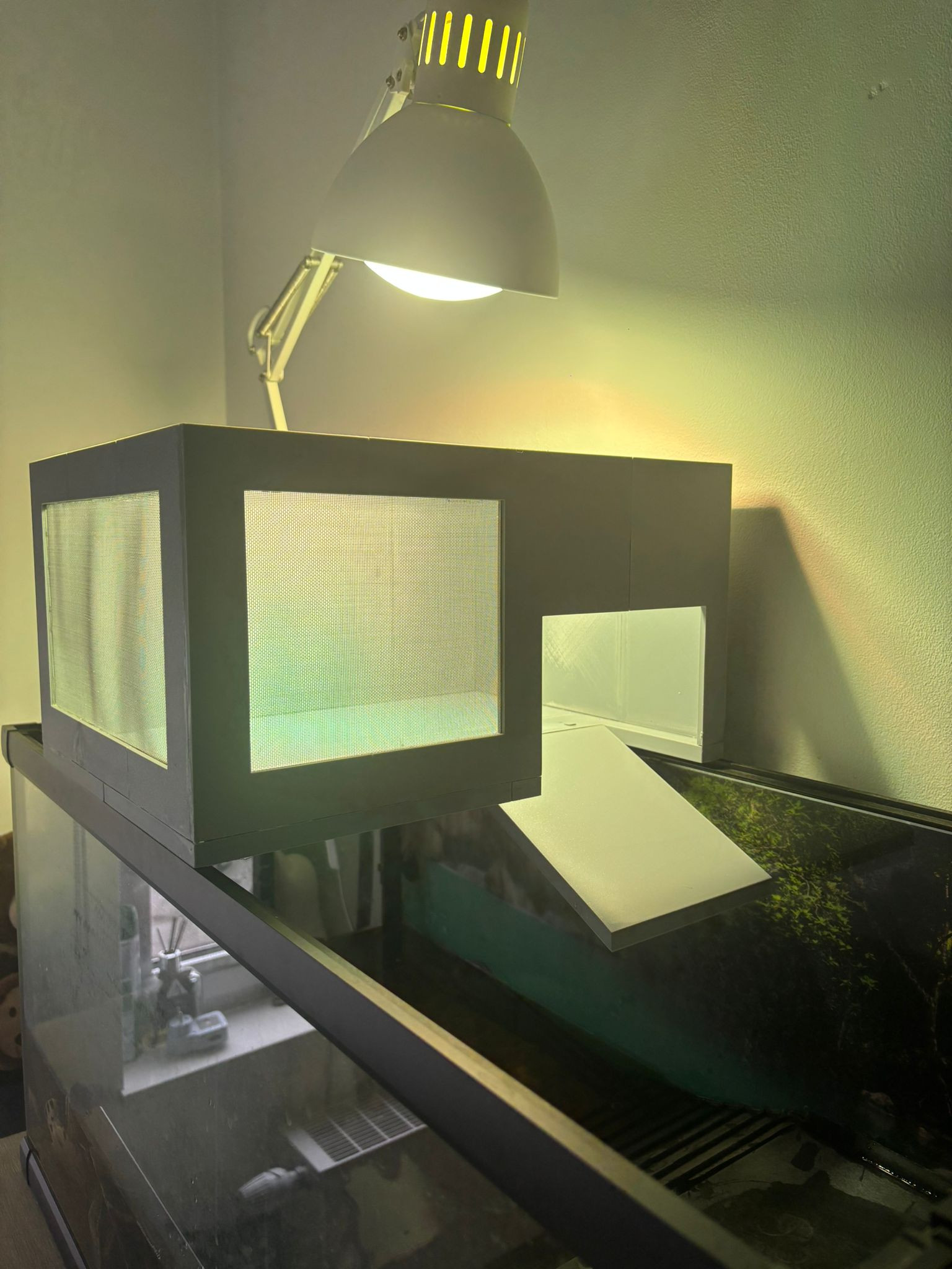 Креативный аксессуар для аквариума — черепаха-док с фильтром и системой контроля температуры для 3D принтера