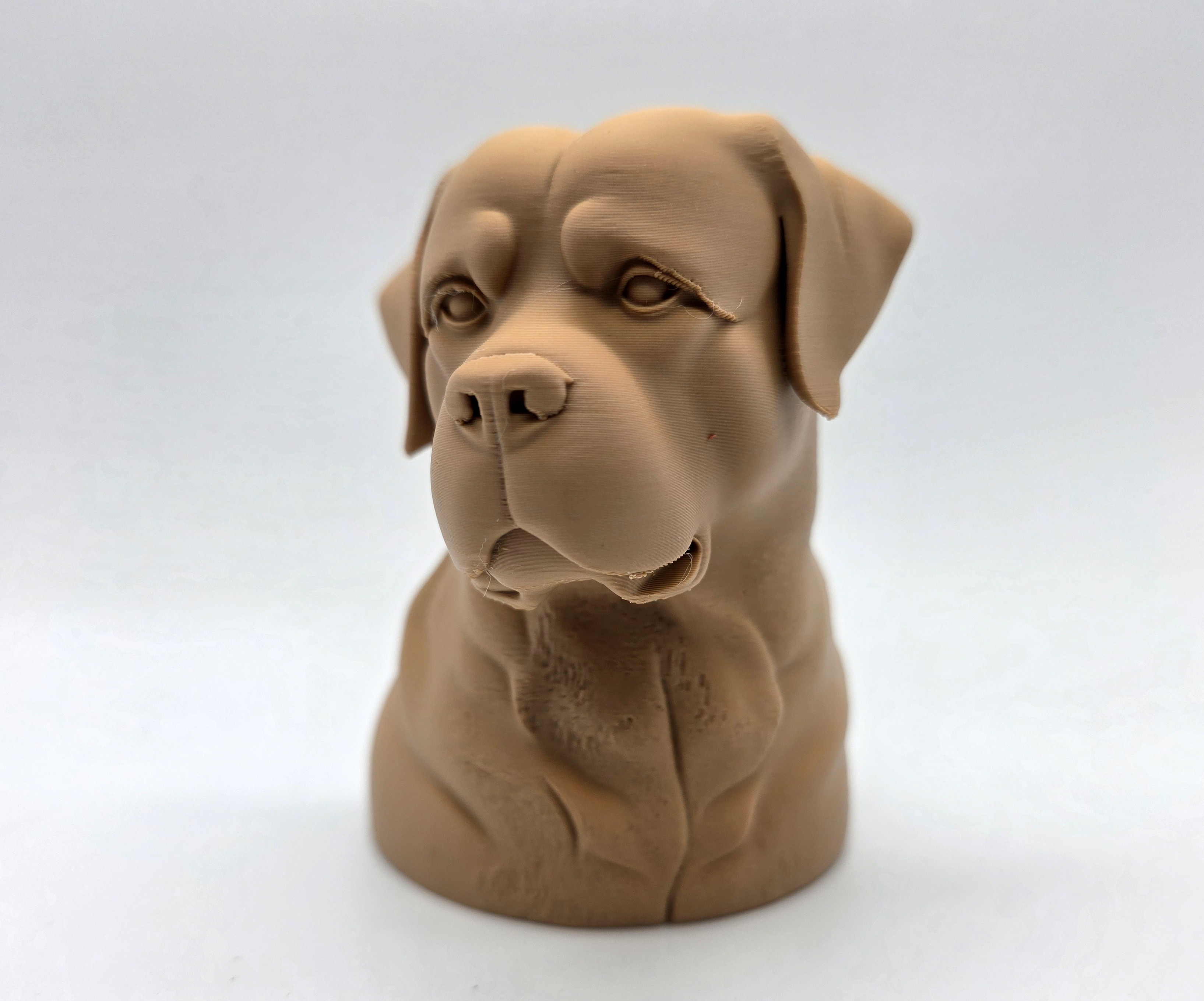 Реалистичный бюст ротвейлера задумчиво смотрит вдаль для 3D принтера