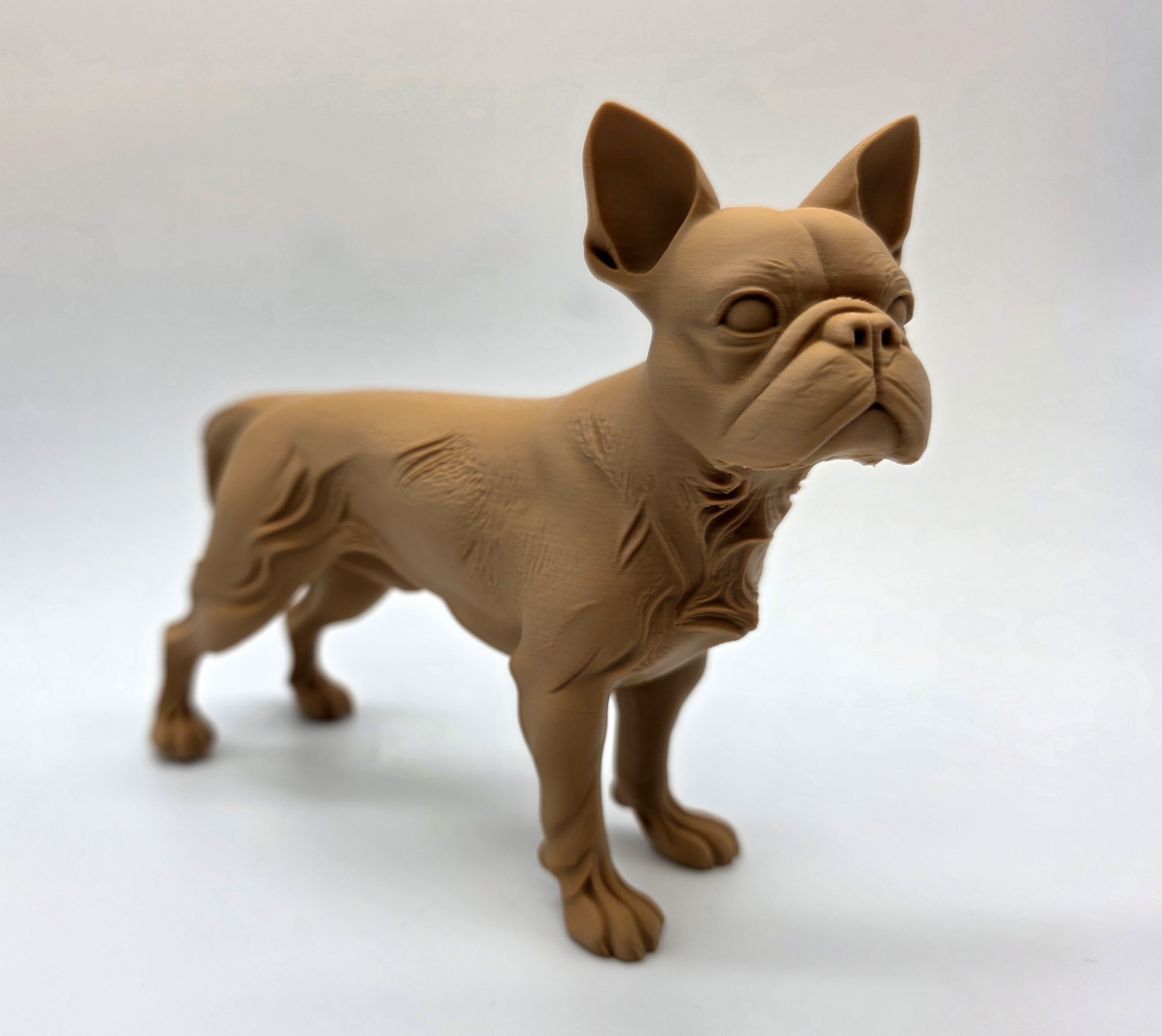 Реалистичная 3D-модель Бостон-терьера стоящего ✨ Скачать бесплатно для 3D принтера