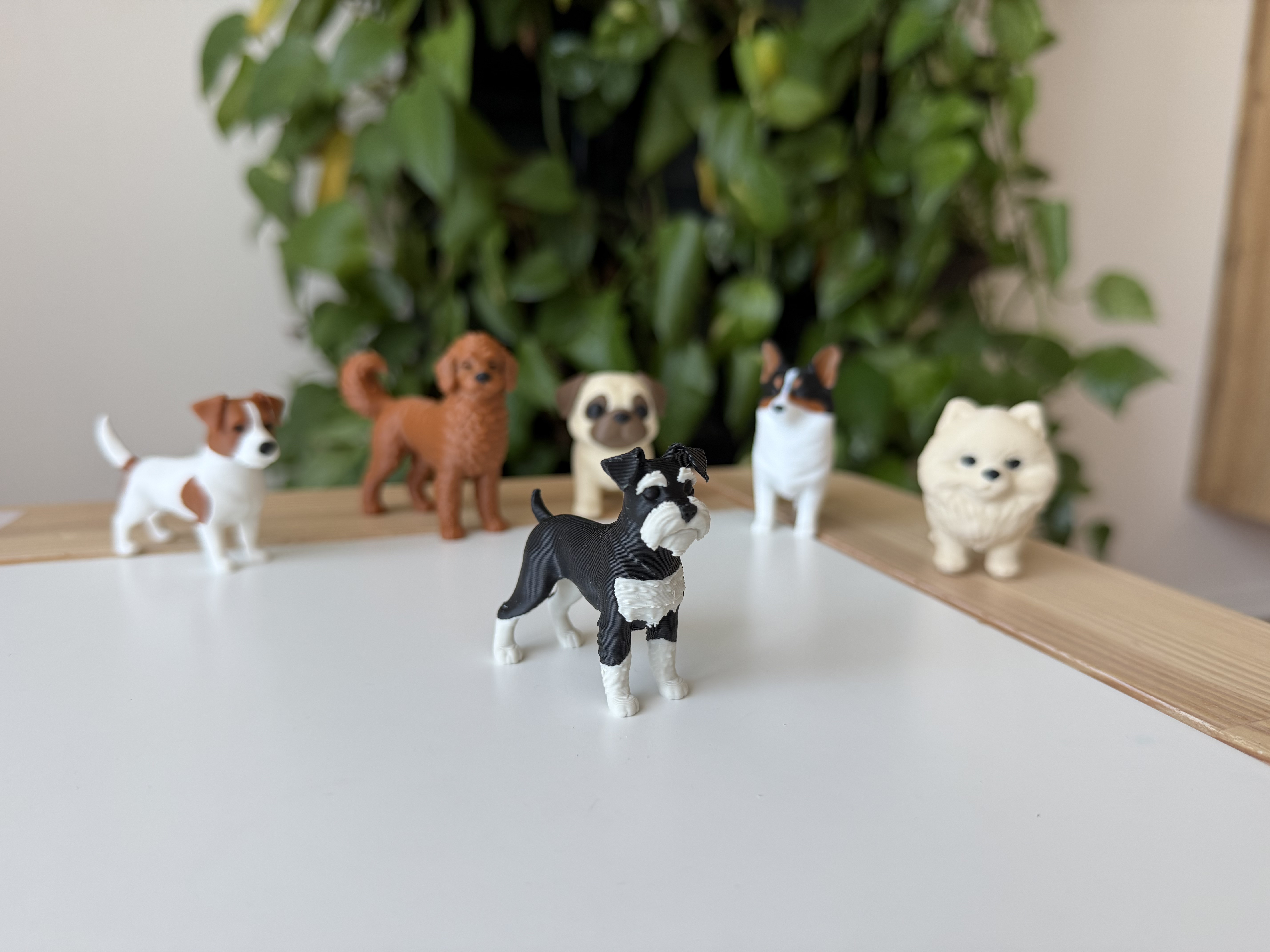 Миниатюрный шнауцер в 3D — очарование миниатюрной породы для 3D принтера