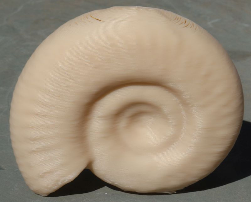 Реалистичная 3D-модель аммонита — ископаемого моллюска для 3D принтера