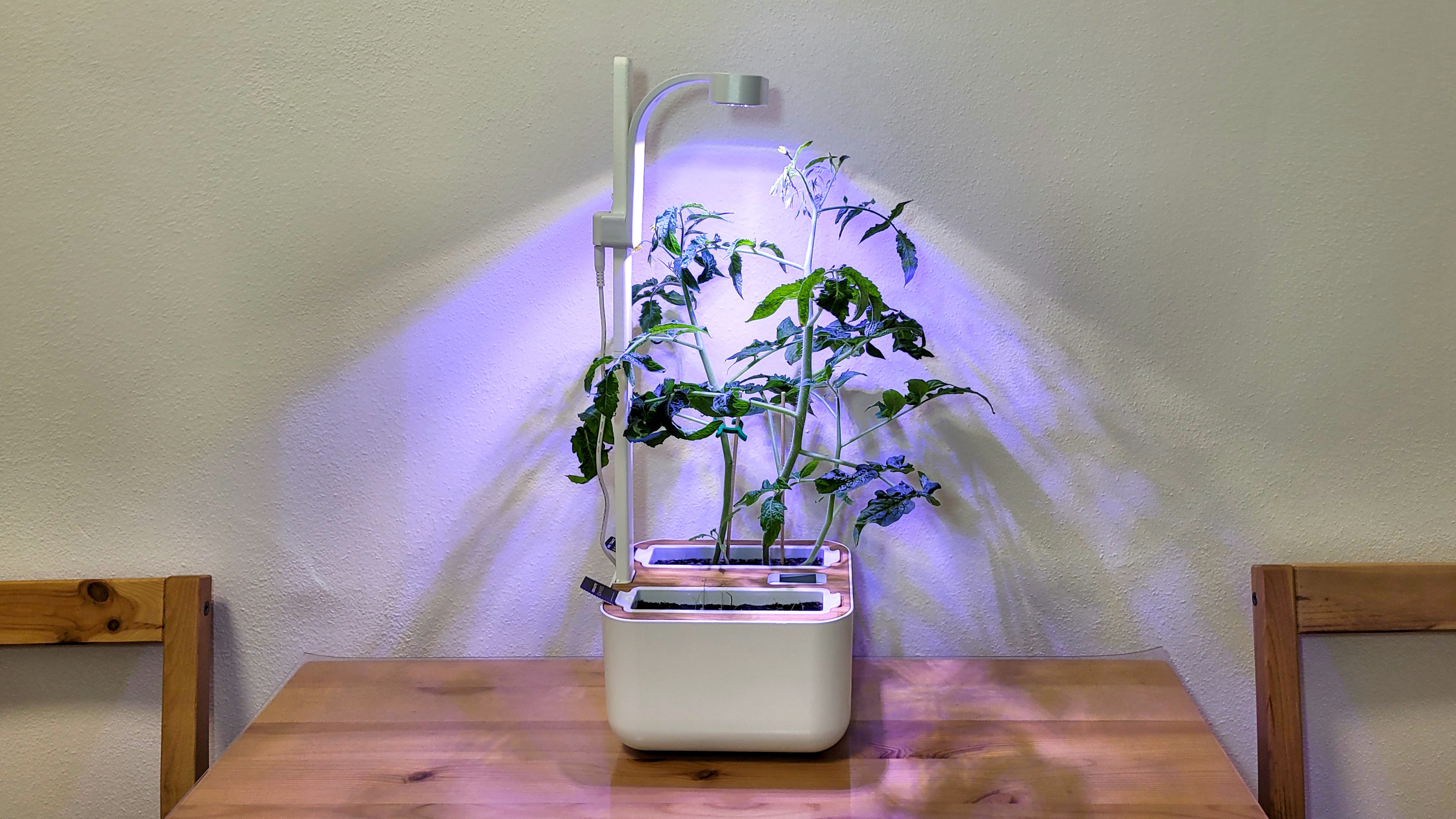 🌿 Реалистичная 3D-модель Véritable Botaneo Extension ✨ для 3D принтера