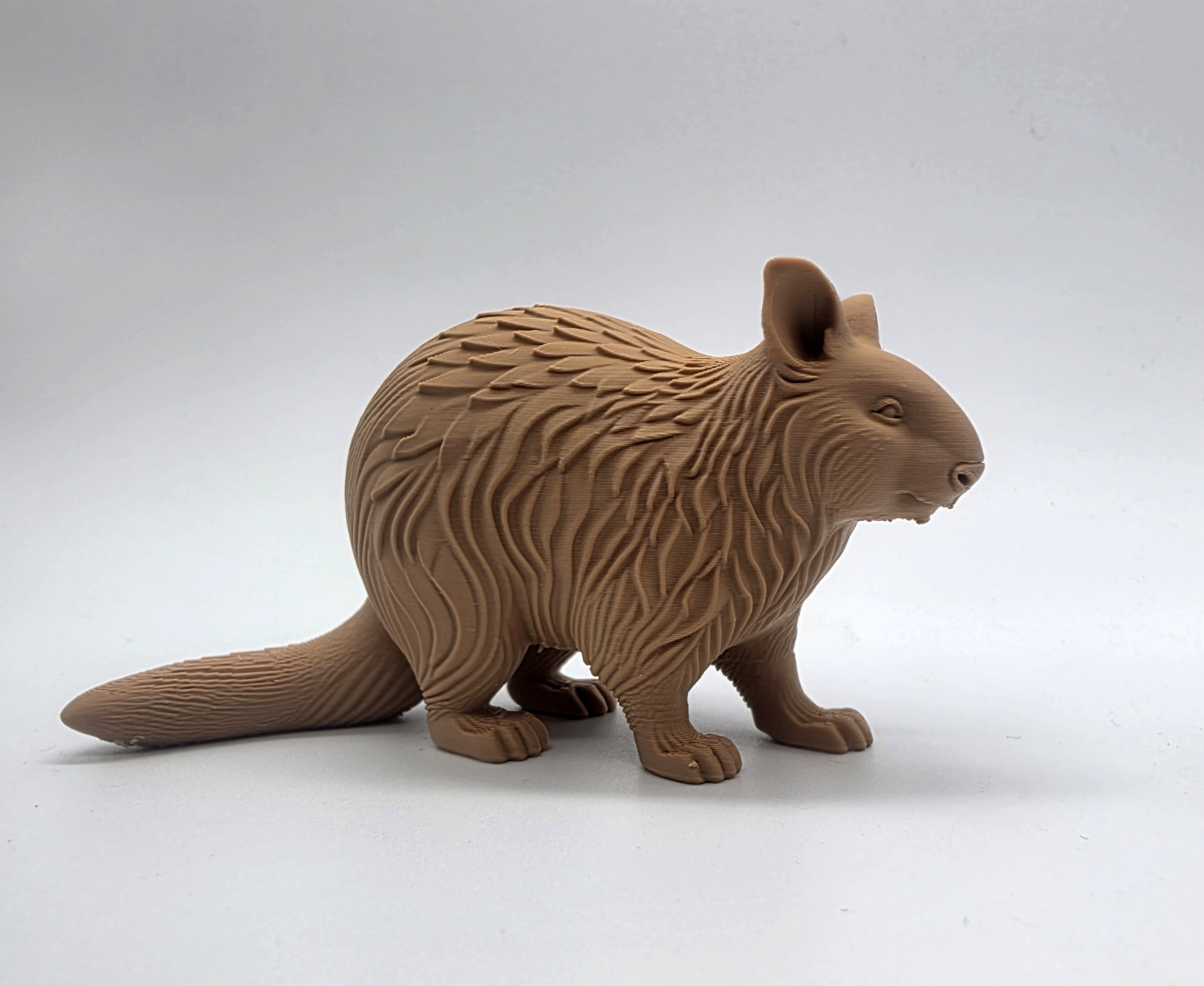 Wood Carved Wombat для 3D принтера