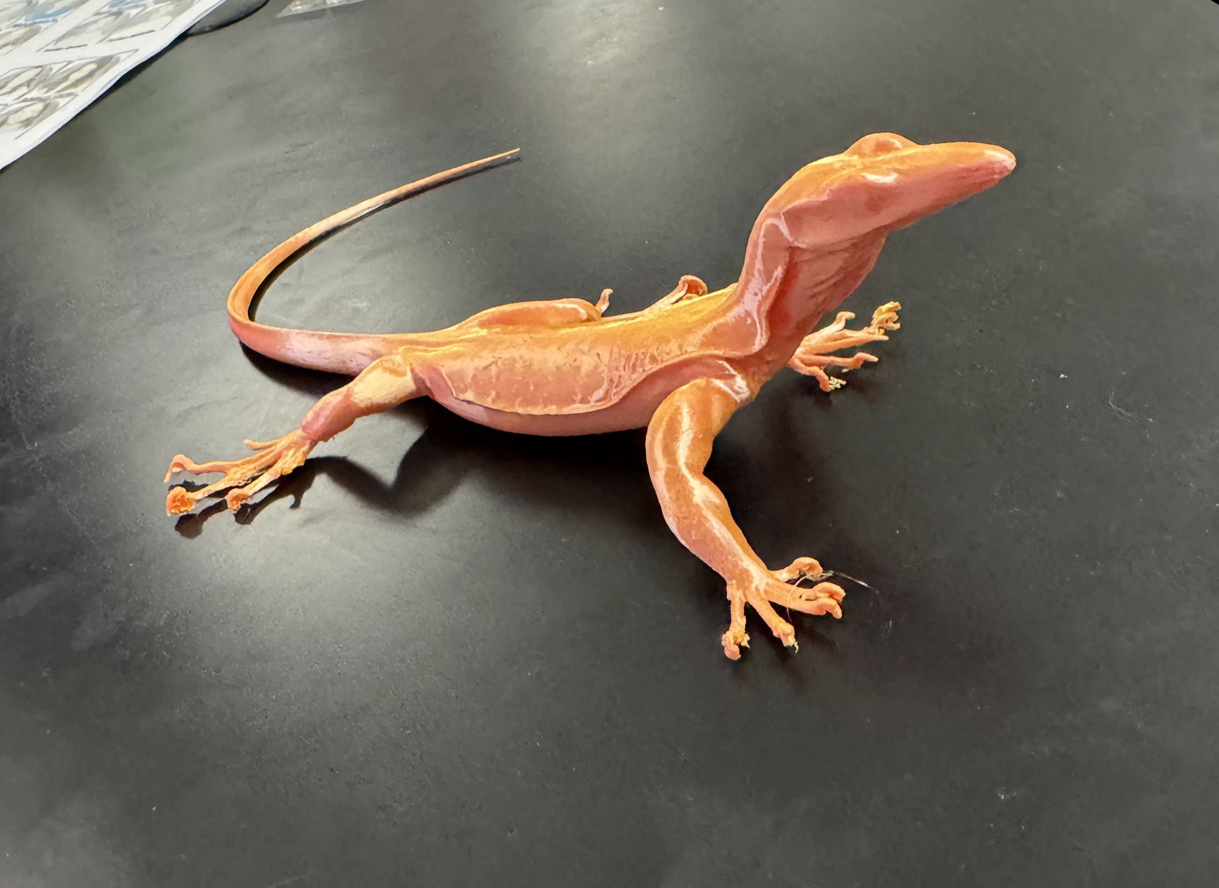 Реалистичная 3D-модель чёрной бородавчатой ящерицы для 3D принтера