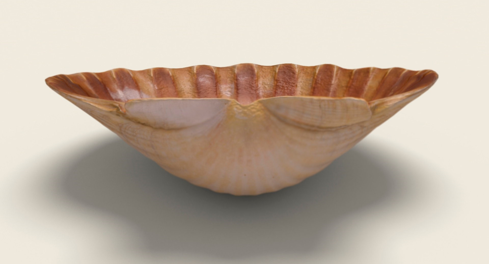 Уникальная 3D-модель Shell 01_cBGMT для вдохновения дизайнеров для 3D принтера