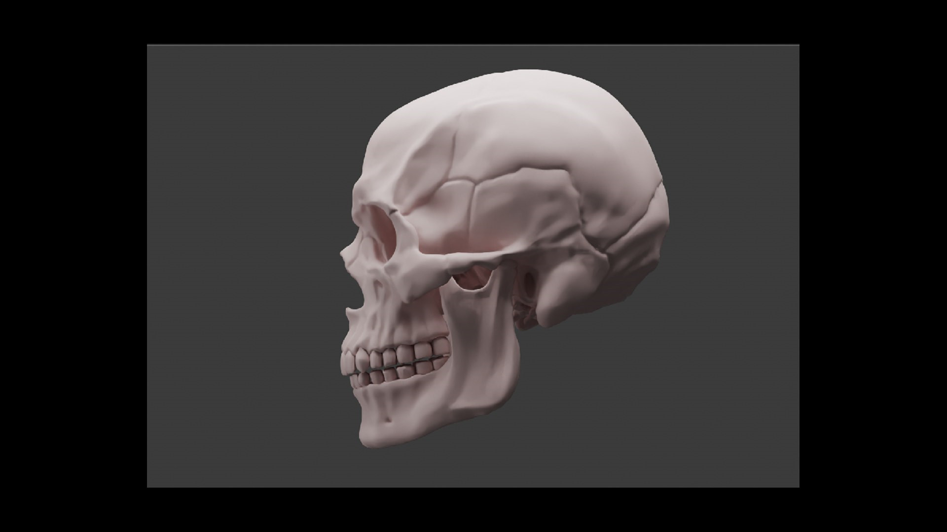 Точная 3D-модель человеческого черепа Human skull_2aDar для 3D принтера