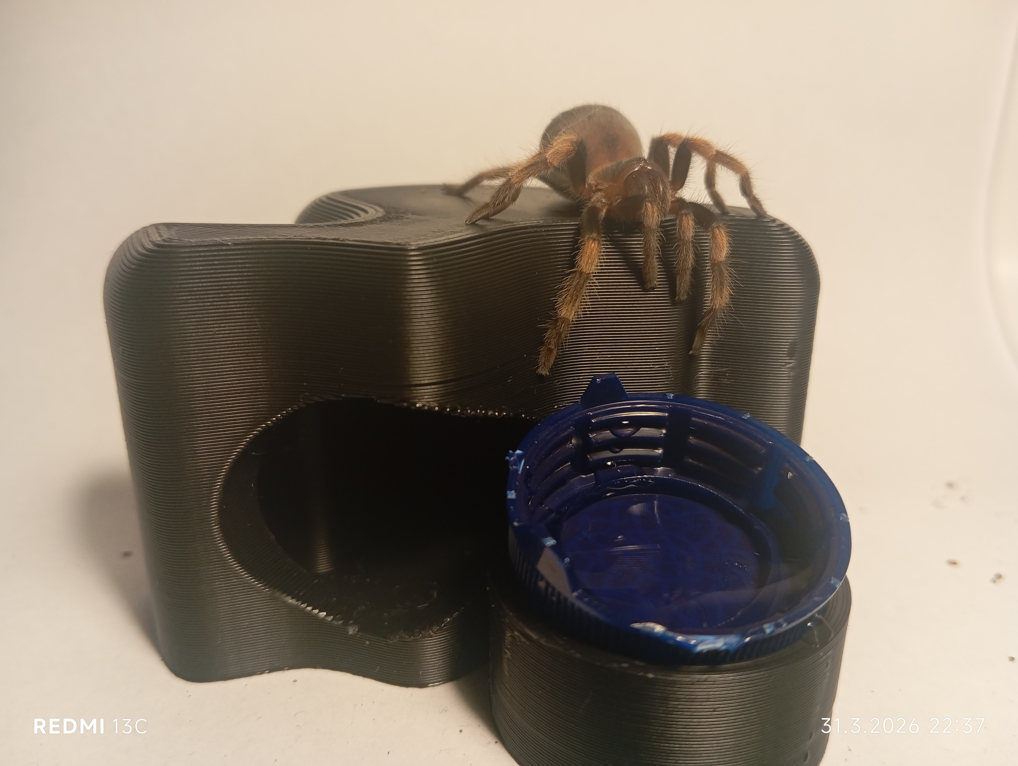 Потрясающая 3D-модель дома TARANTULA HOUSE V2 ✨🕷️ для 3D принтера