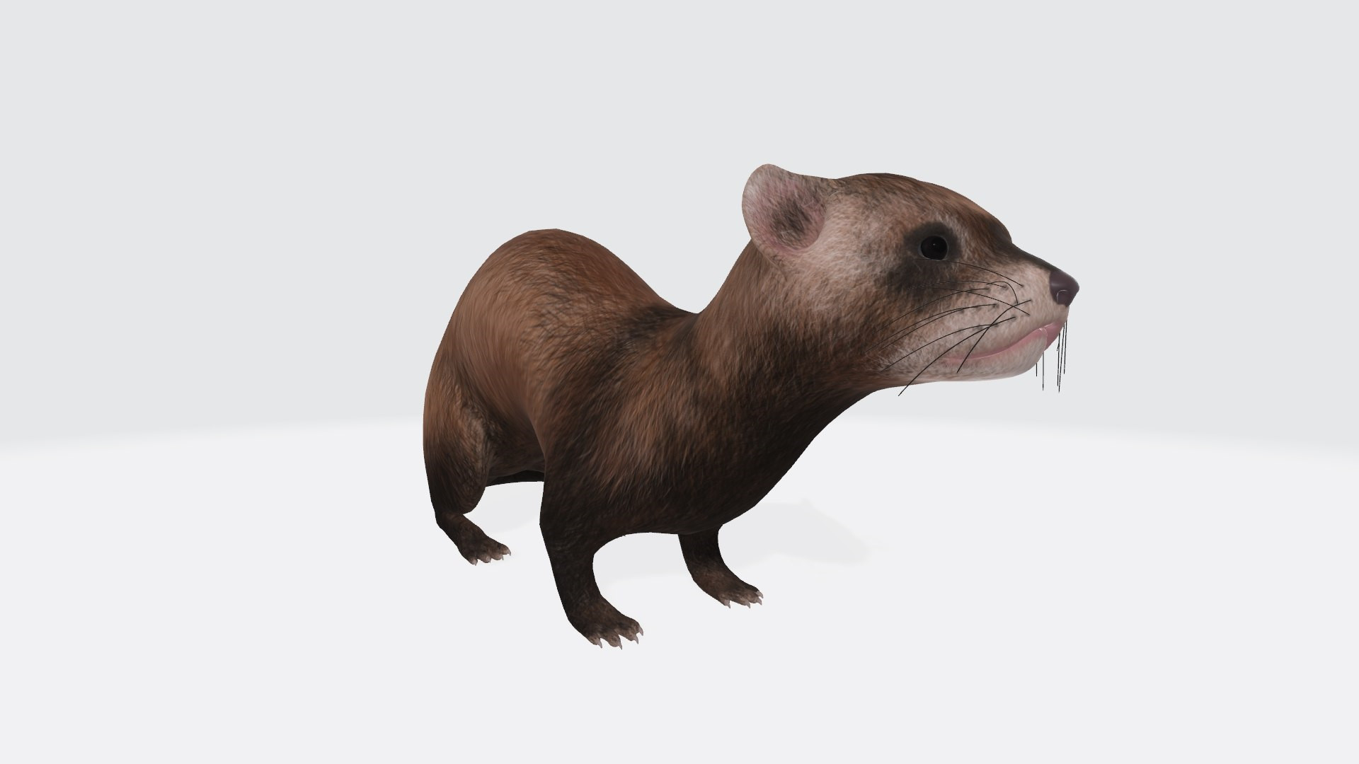 Печатай своего хорька! Готовая 3D-модель Ferret Animal Figure для 3D принтера