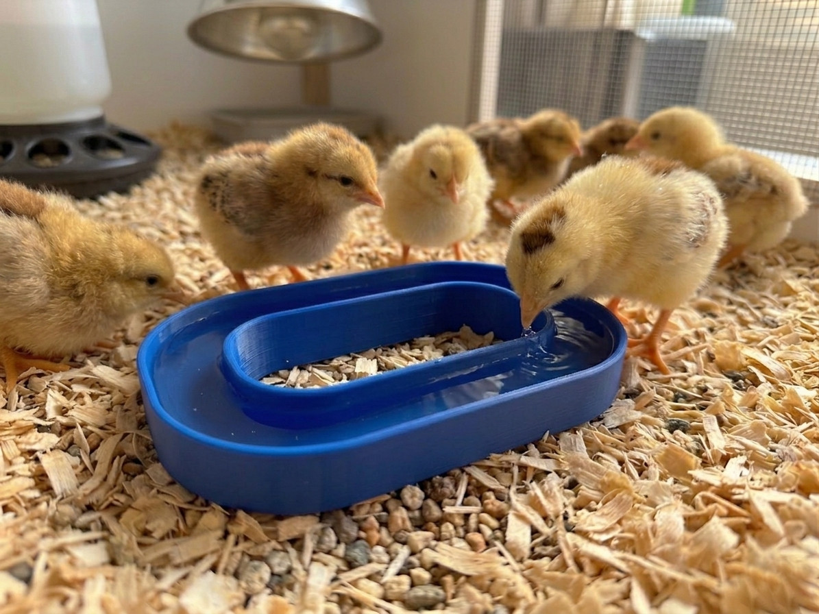 Крутая 3D-модель Chick Waterer ✨ Бесплатная загрузка для 3D принтера