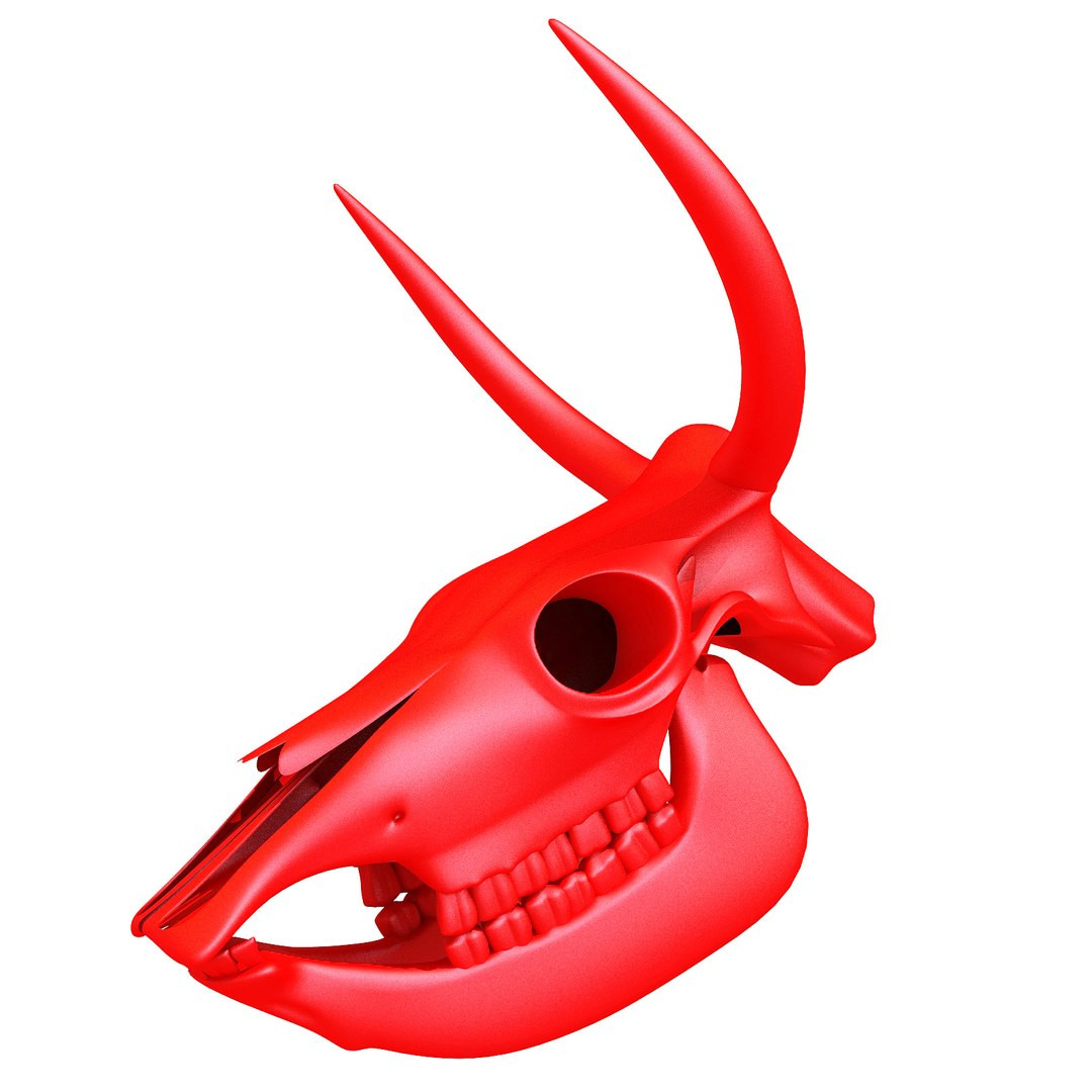 Реалистичная 3D-модель коровьего черепа 🦷🖤 для 3D принтера