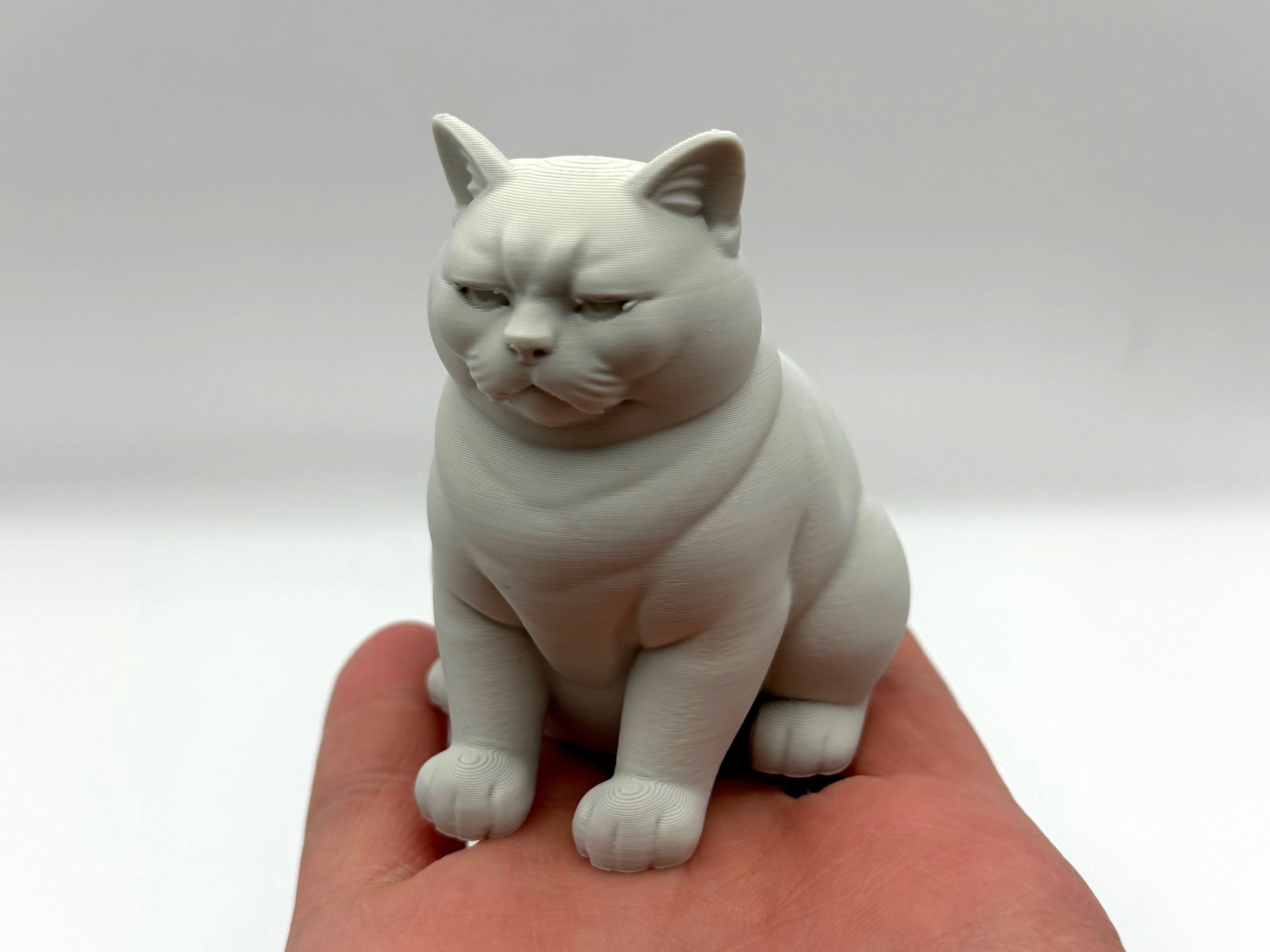 Неодобрительный кот в 3D — скачать бесплатно для 3D принтера