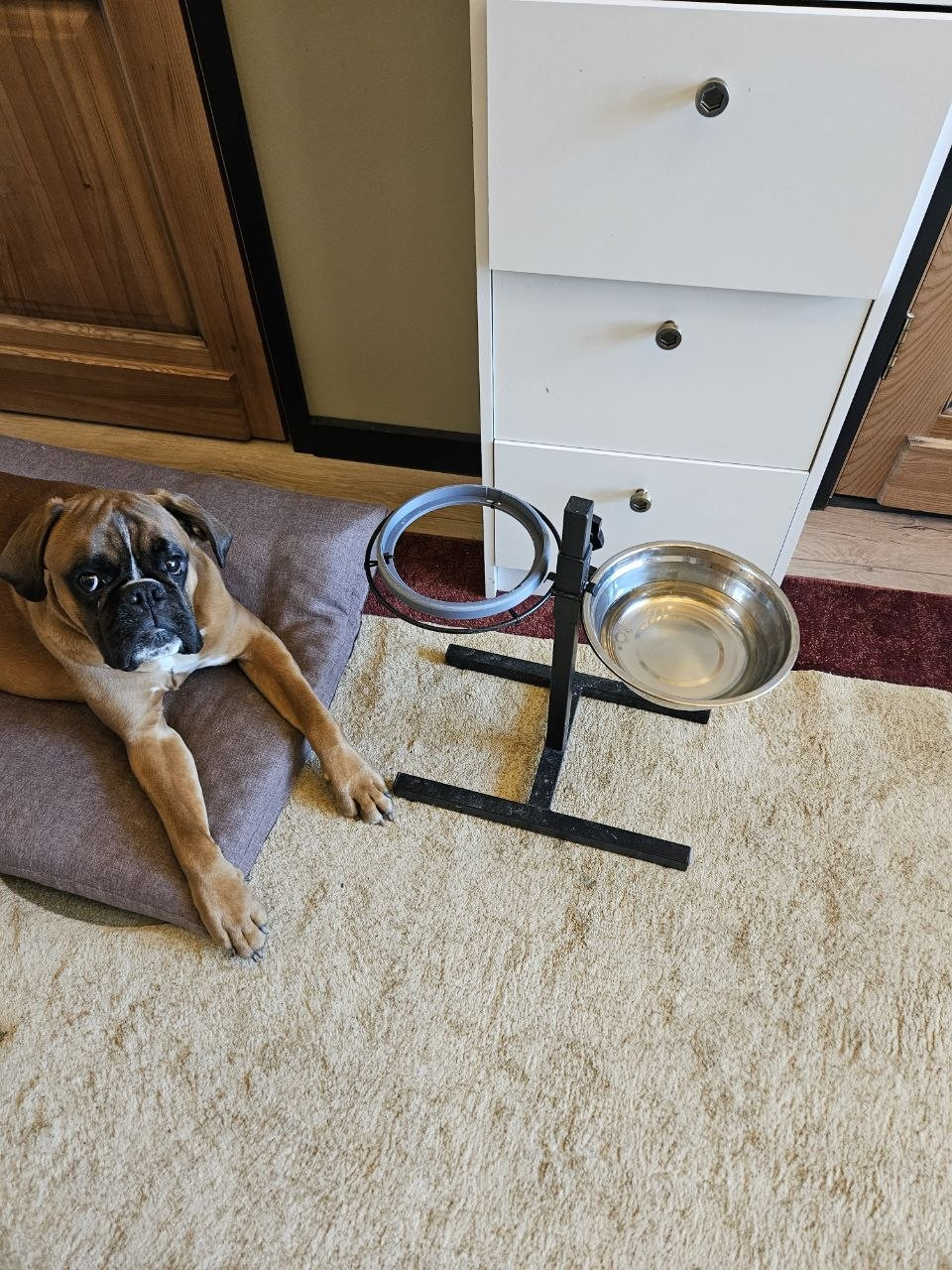 Уникальная насадка Slow Feeder Bowl для здоровья питомца для 3D принтера