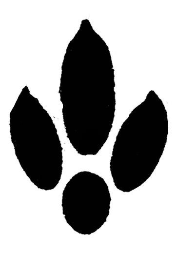 Арабская волчья лапа — реалистичная 3D-модель