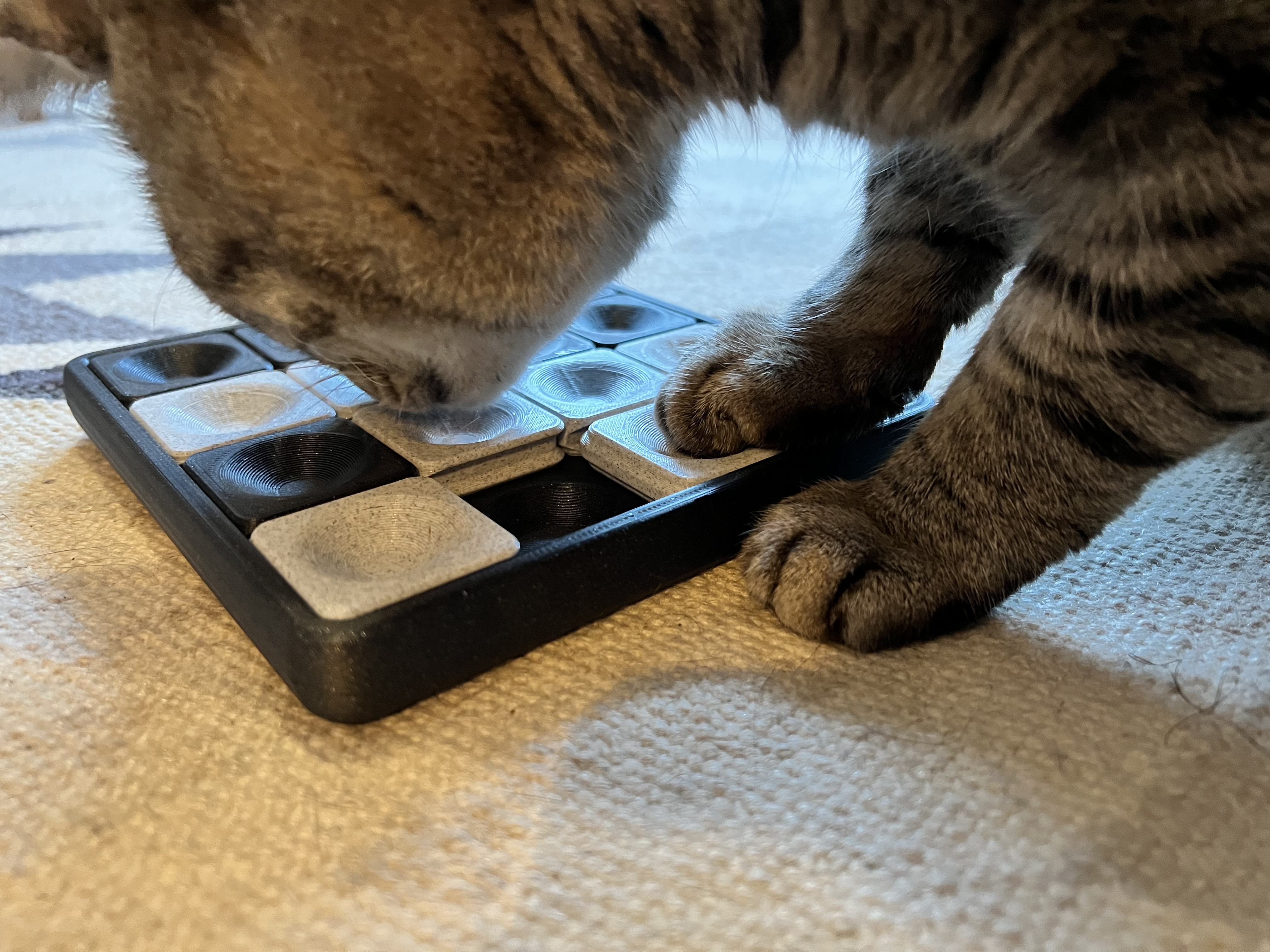 🐾 Игрушка-головоломка Sliding Cat Treat для котиков 🎲 для 3D принтера